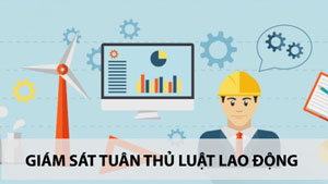 Rà soát tình hình tuân thủ pháp luật lao động